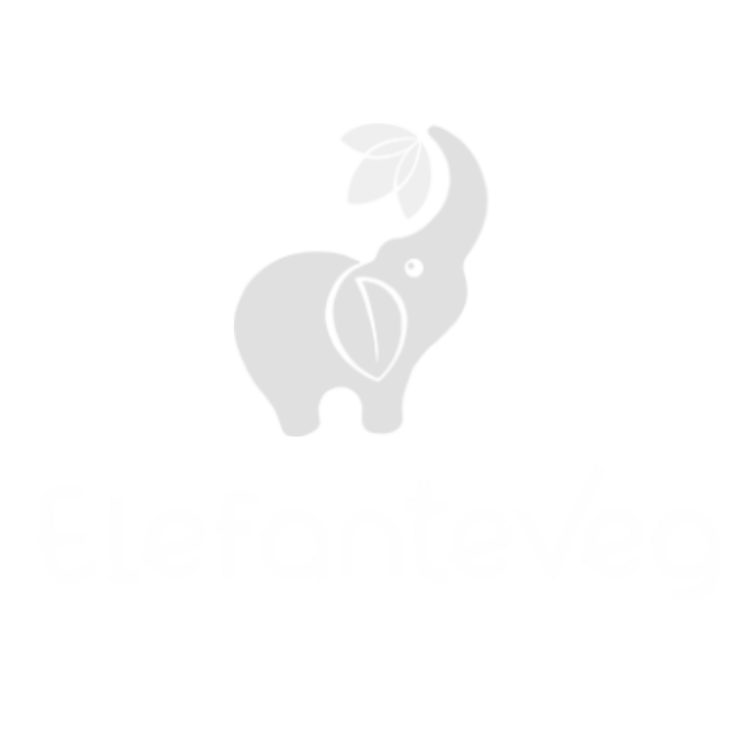 LIMONE-MARKETING-CLIENTI_Elefante-Veg
