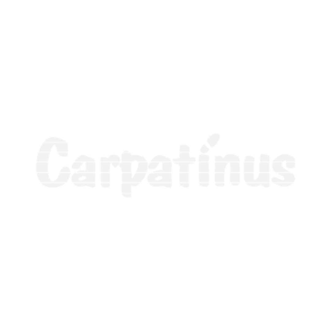 LIMONE-MARKETING-CLIENTI_CARPATINUS