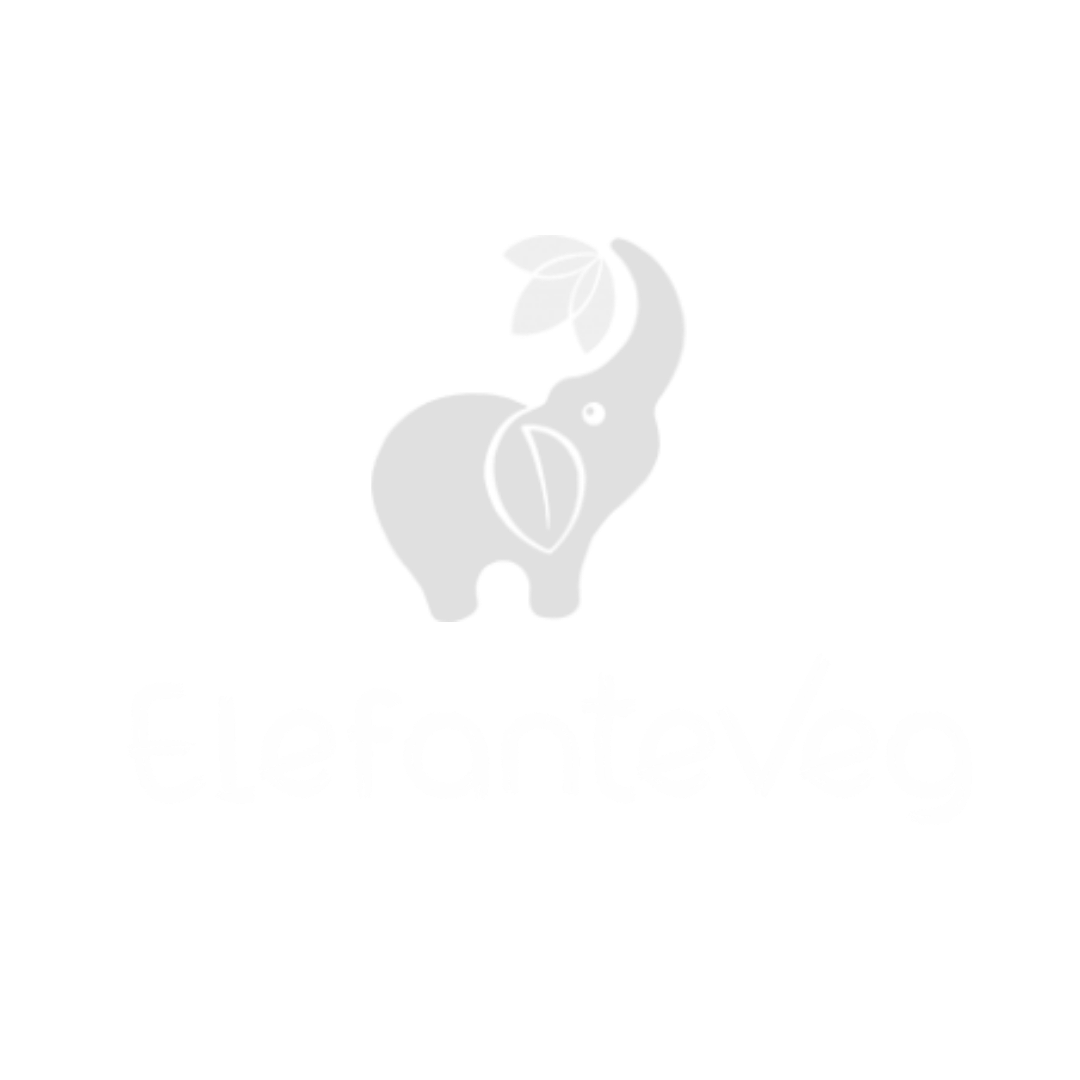 LIMONE-MARKETING-CLIENTI_Elefante-Veg-2