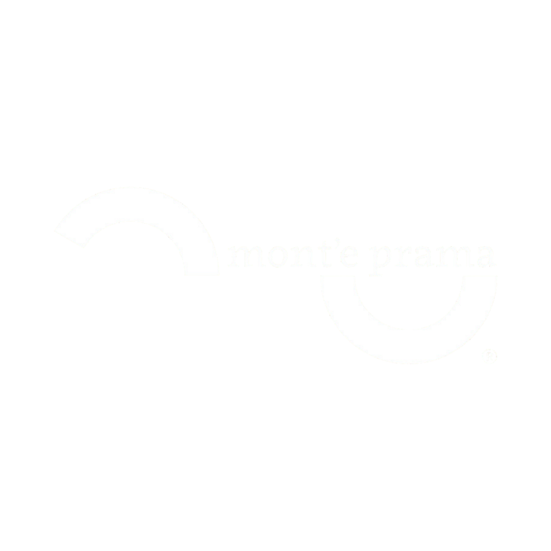 LIMONE-MARKETING-CLIENTI_FONDAZIONE MONTEPRAMA